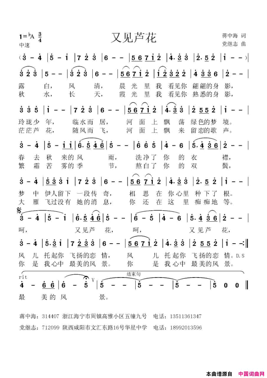 又见芦花简谱