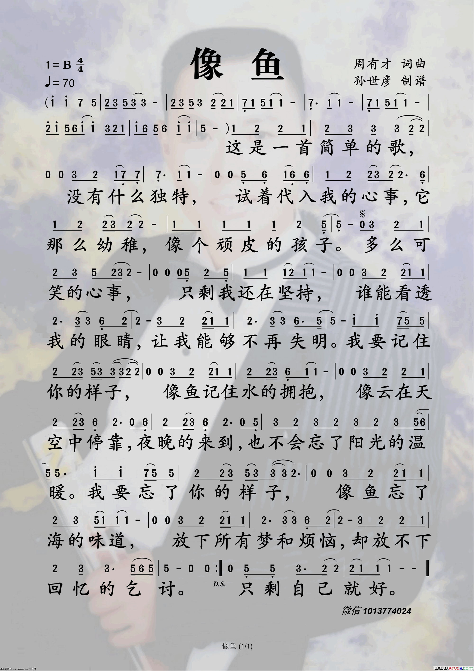 像鱼简谱