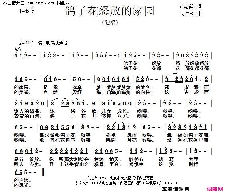 鸽子花怒放的家园简谱