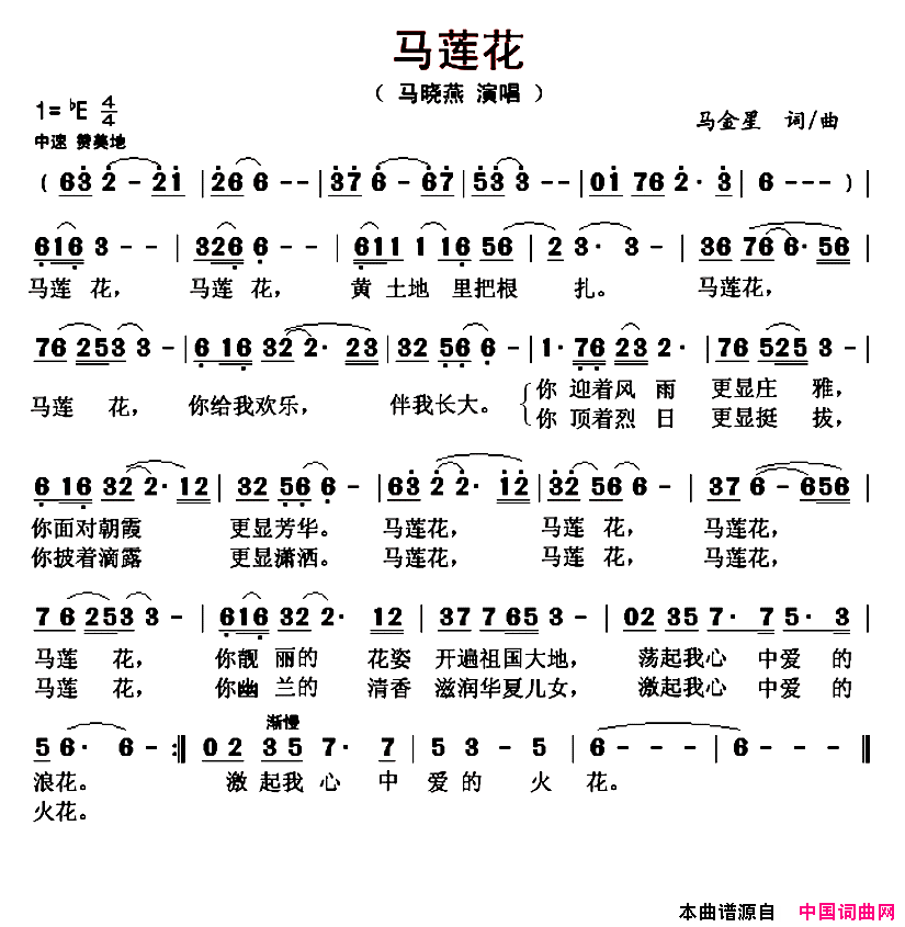 马莲花简谱