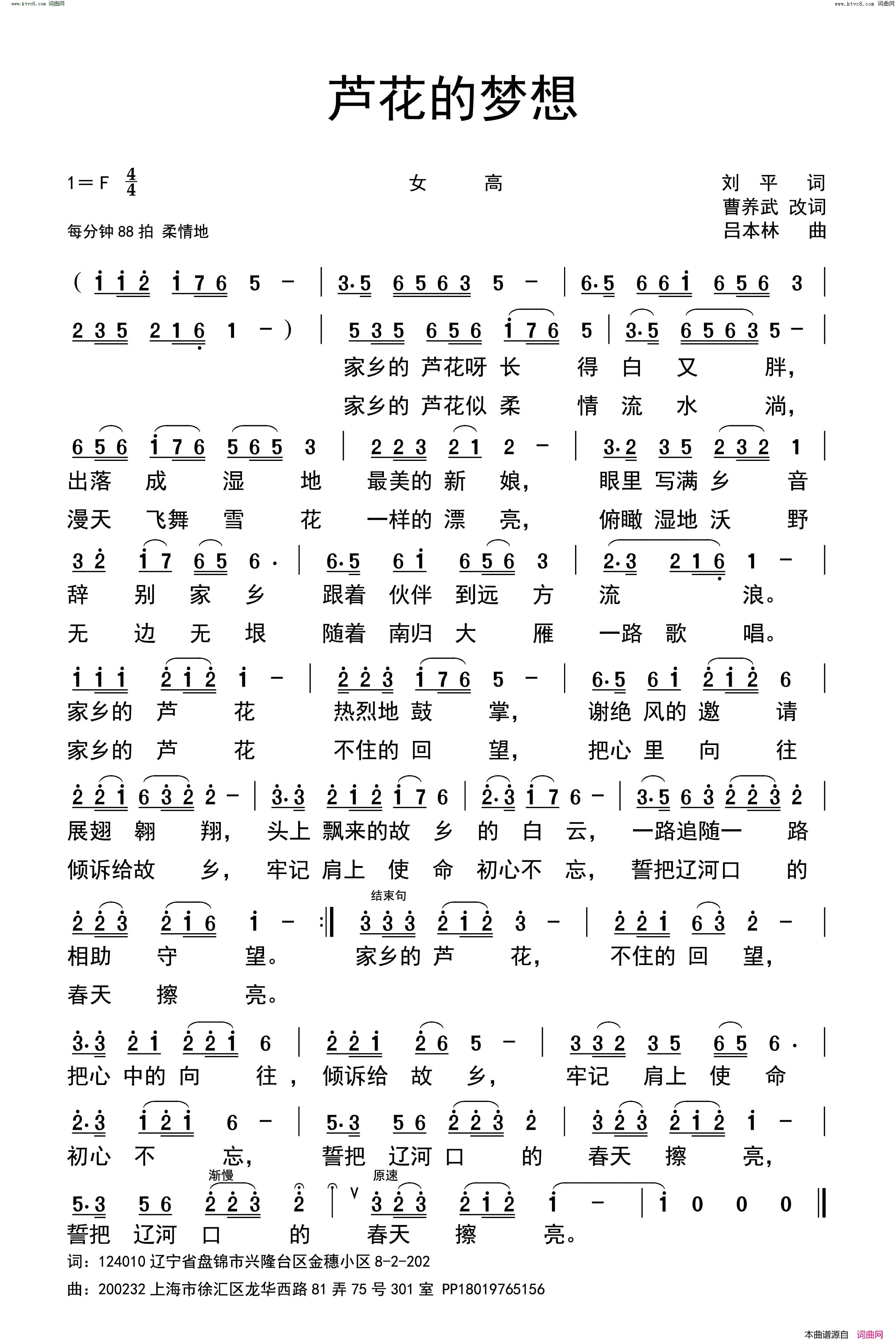 芦花的梦想简谱