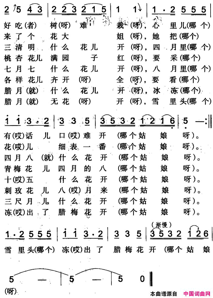 猜花伊犁回族民歌简谱