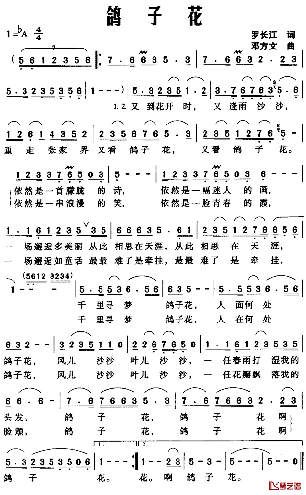 鸽子花简谱_罗长江词_邓方文曲