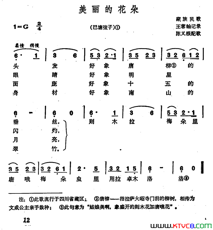 美丽的花朵巴塘弦子简谱