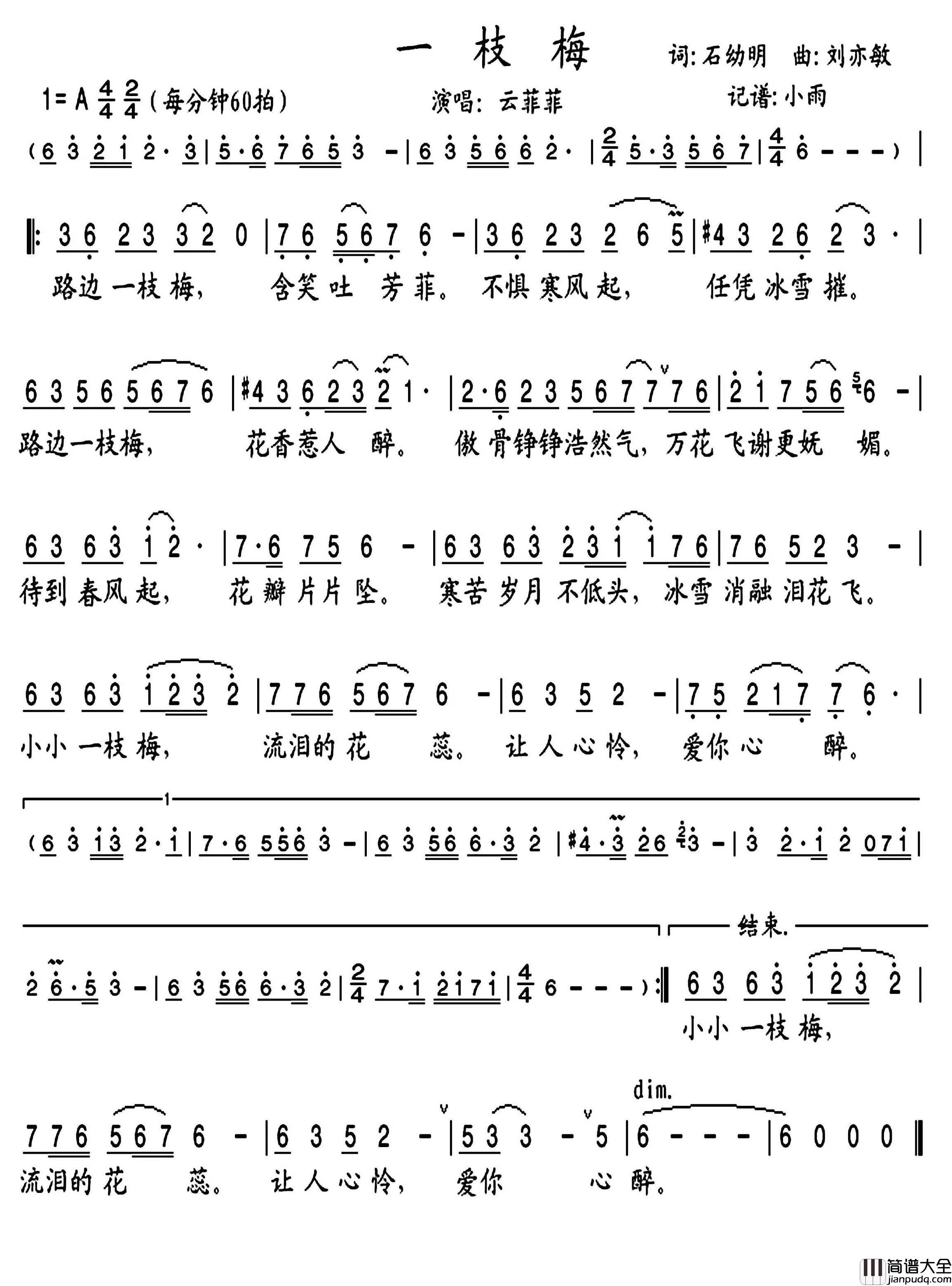 一枝梅简谱_云菲菲演唱_小雨制谱