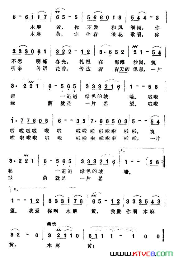 我爱你啊，木麻黄简谱