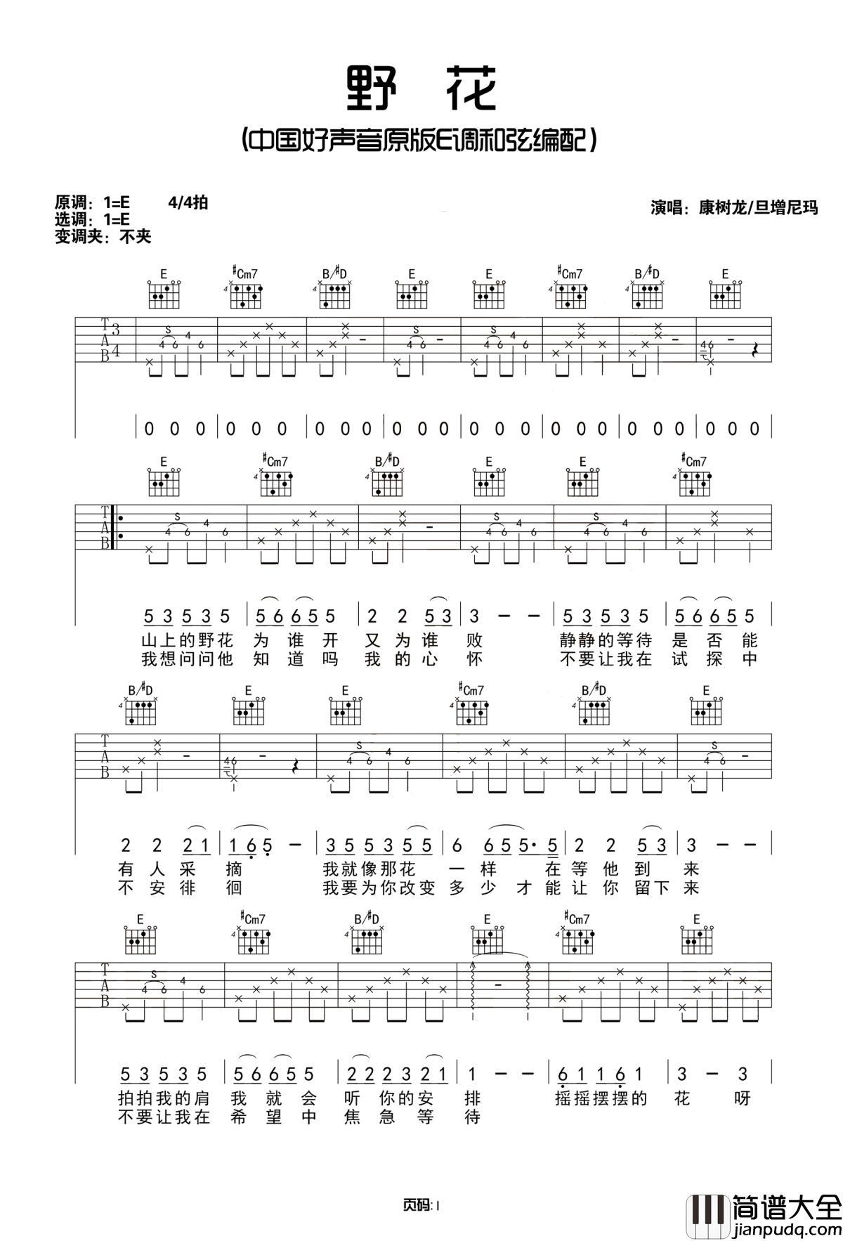 野花吉他谱_康树龙_听到了山间野花的淡淡倾诉