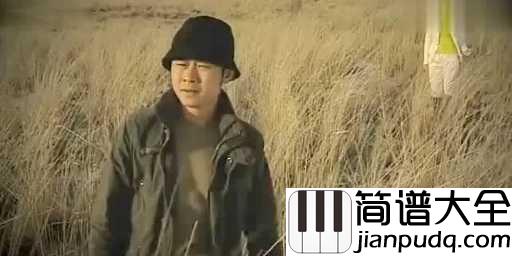 冲动的惩罚吉他谱_刀郎_一个时代,一段岁月,一段人生