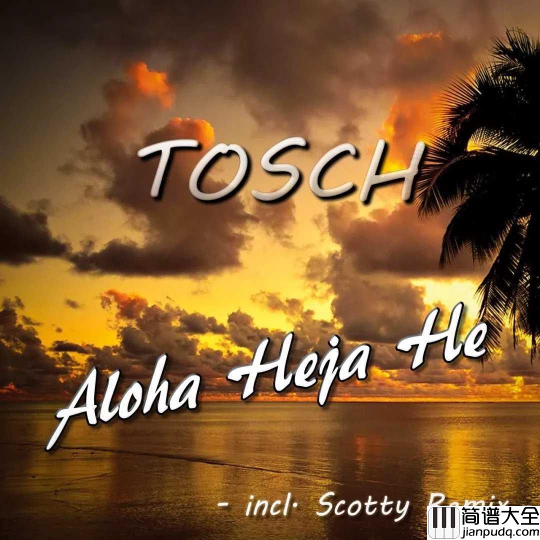 aloha_heja_he吉他谱_它很小众,也不适合浮躁,它属于沧桑和有故事的人