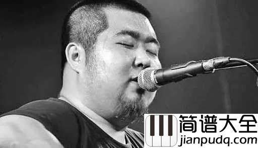 年年吉他谱_宋冬野_脸上灿灿得盛开的桃花,心底却是一片沧桑