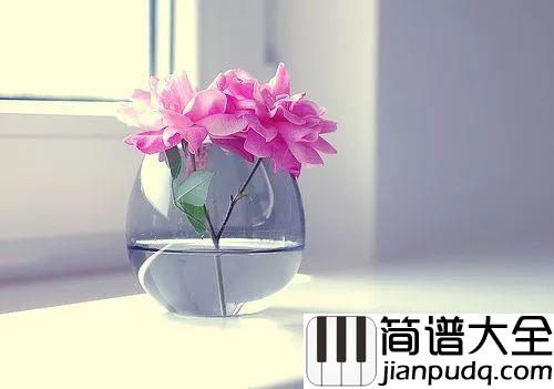 催眠曲吉他谱_贾涛戴/雨哲_每当这催眠曲响起,我又想起了你