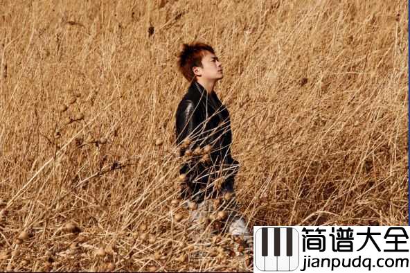 乌兰巴托的夜吉他谱_王进_最纯粹的声音,最向往的地方