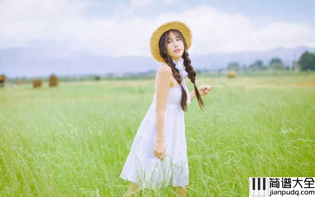 去年夏天吉他谱_王大毛_总会遇见那个对的人,错过了很可惜,用全部对她好