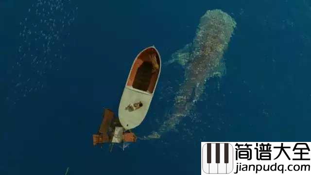 在九月结束的时候与你告别吉他谱_张罐子_我们各自走向明天,奔向漫长未来