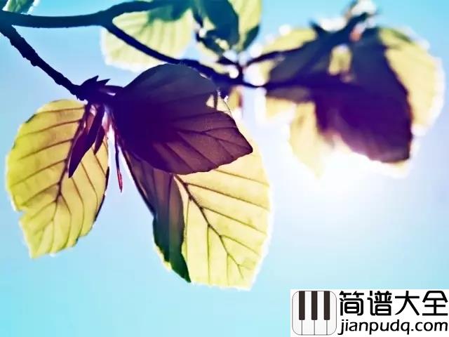 南山南吉他谱_马頔__每个人都是一座孤岛