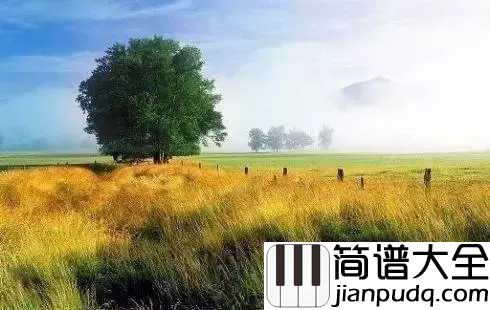 稻香吉他谱_周杰伦的微微笑,小时候的梦我知道