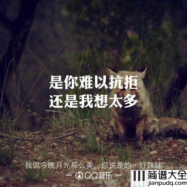 我说今晚月光那么美,你说是的吉他谱_好妹妹乐队_我喜欢你,你说是的