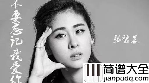 不要忘记我爱你吉他谱_张碧晨_我飞蛾扑火的样子,只是希望你不要忘记我