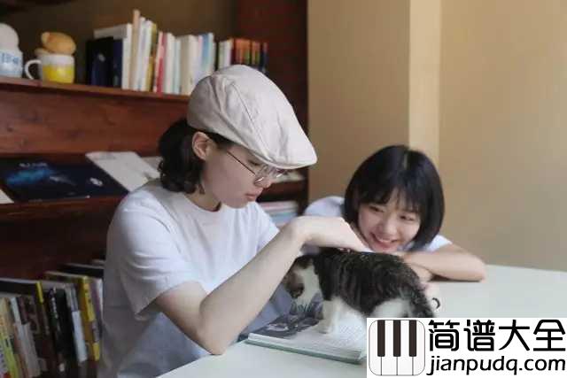 简情歌吉他谱_房东的猫_别忧愁聚散,又何惧放胆