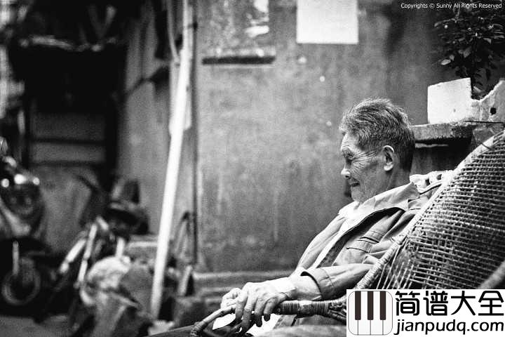 当你老了吉他谱_赵照_爱和恨之间复杂的张力