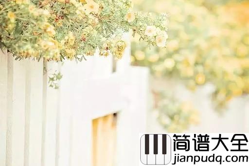 催眠曲吉他谱_贾涛戴/雨哲_每当这催眠曲响起,我又想起了你