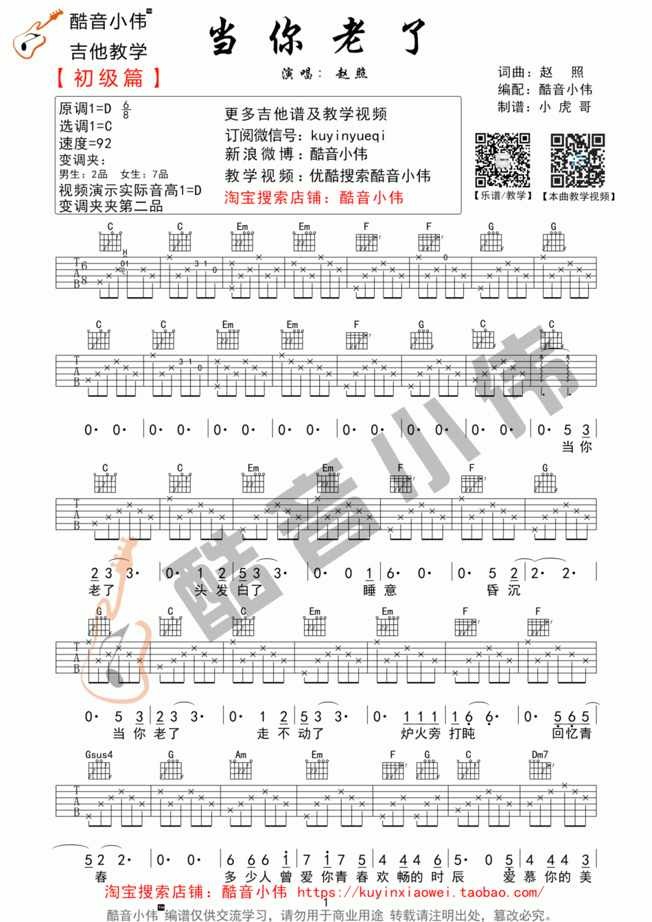 当你老了图片吉他谱C调赵照