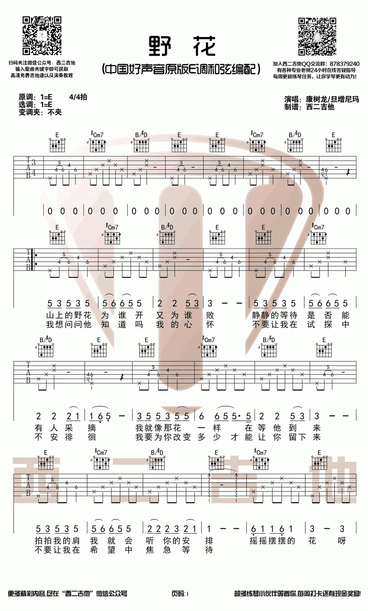野花吉他谱_好声音康树龙/旦增尼玛_E调_原版