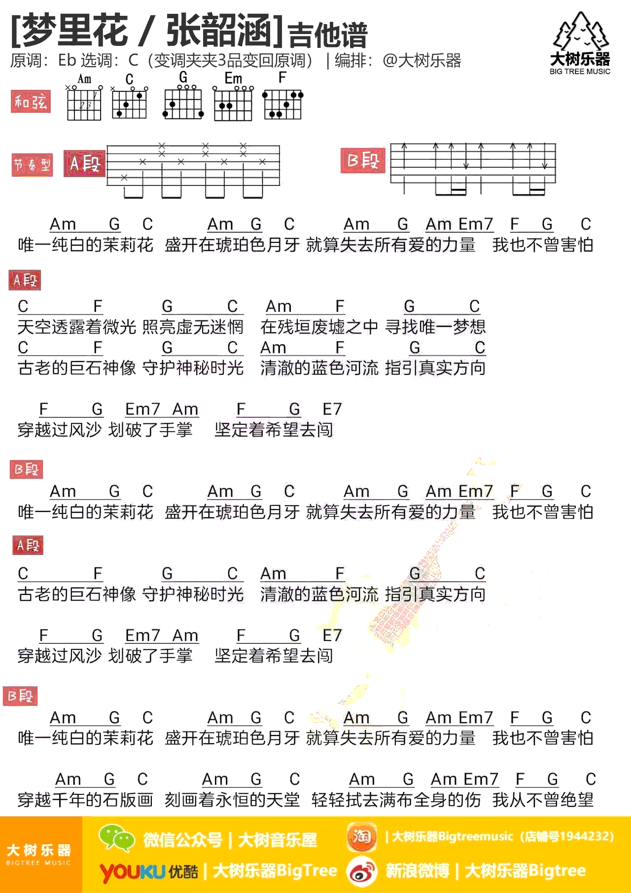 梦里花吉他谱_张韶涵_C调弹唱谱_湖南卫视_歌手_节目