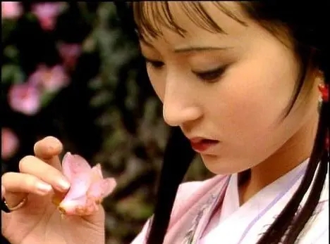 红楼梦_葬花吟_吉他谱_C调吉他独奏谱
