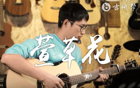 萱草花吉他谱_男生版_弹唱演示视频_高清六线谱