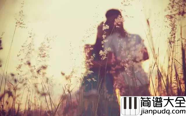 爱情是个无人知道的问题吉他谱_晴天_江河湖海风雨无数,却无你