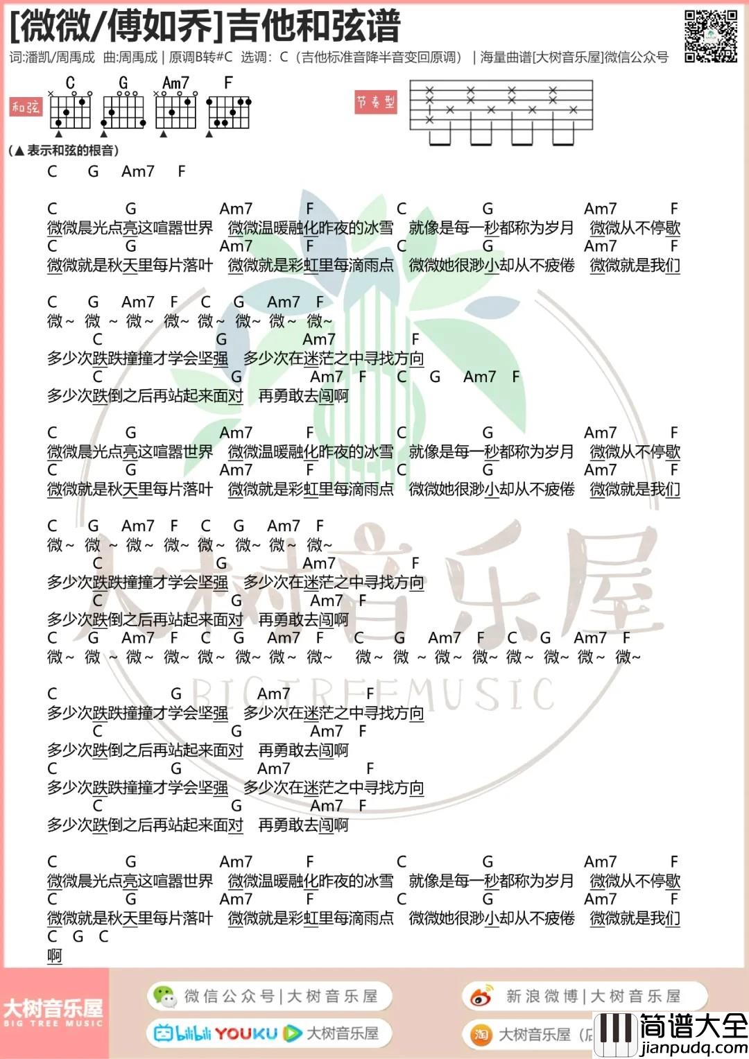 微微,青春有你2吉他谱_C调和弦谱_大树音乐屋编配_傅如乔