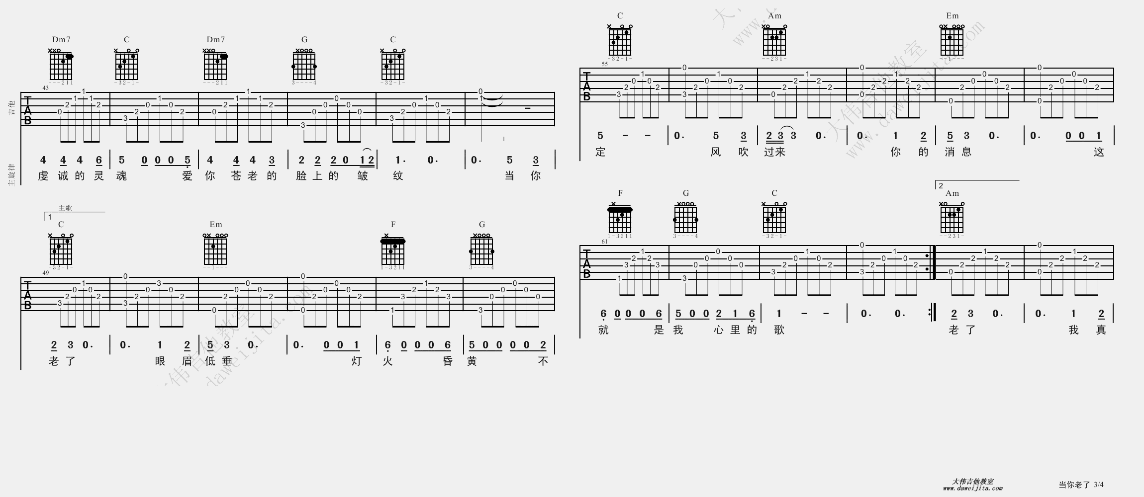 赵照_当你老了_吉他谱(D调)_Guitar_Music_Score