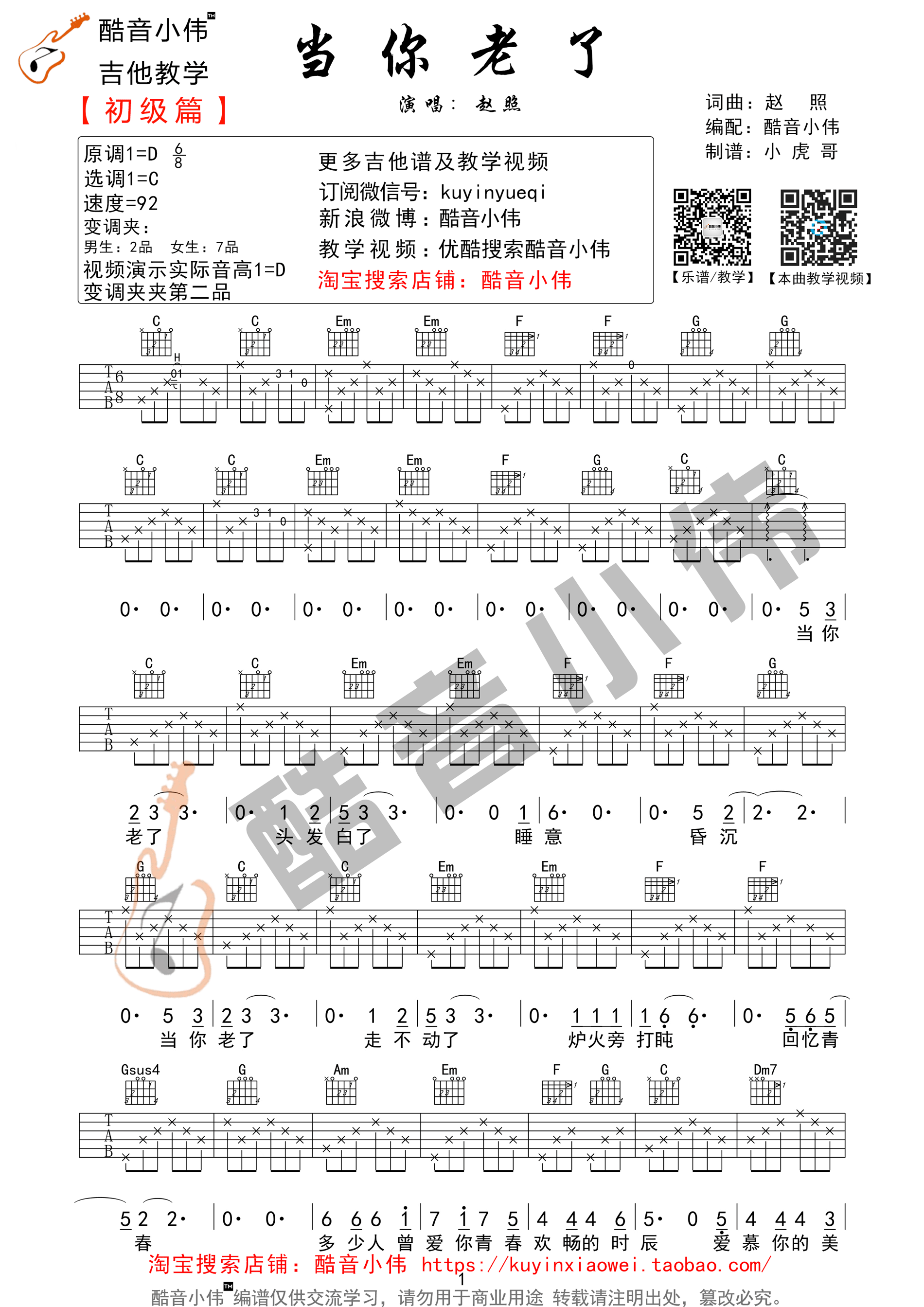 当你老了吉他谱_赵照_C调简单指法版吉他弹唱谱
