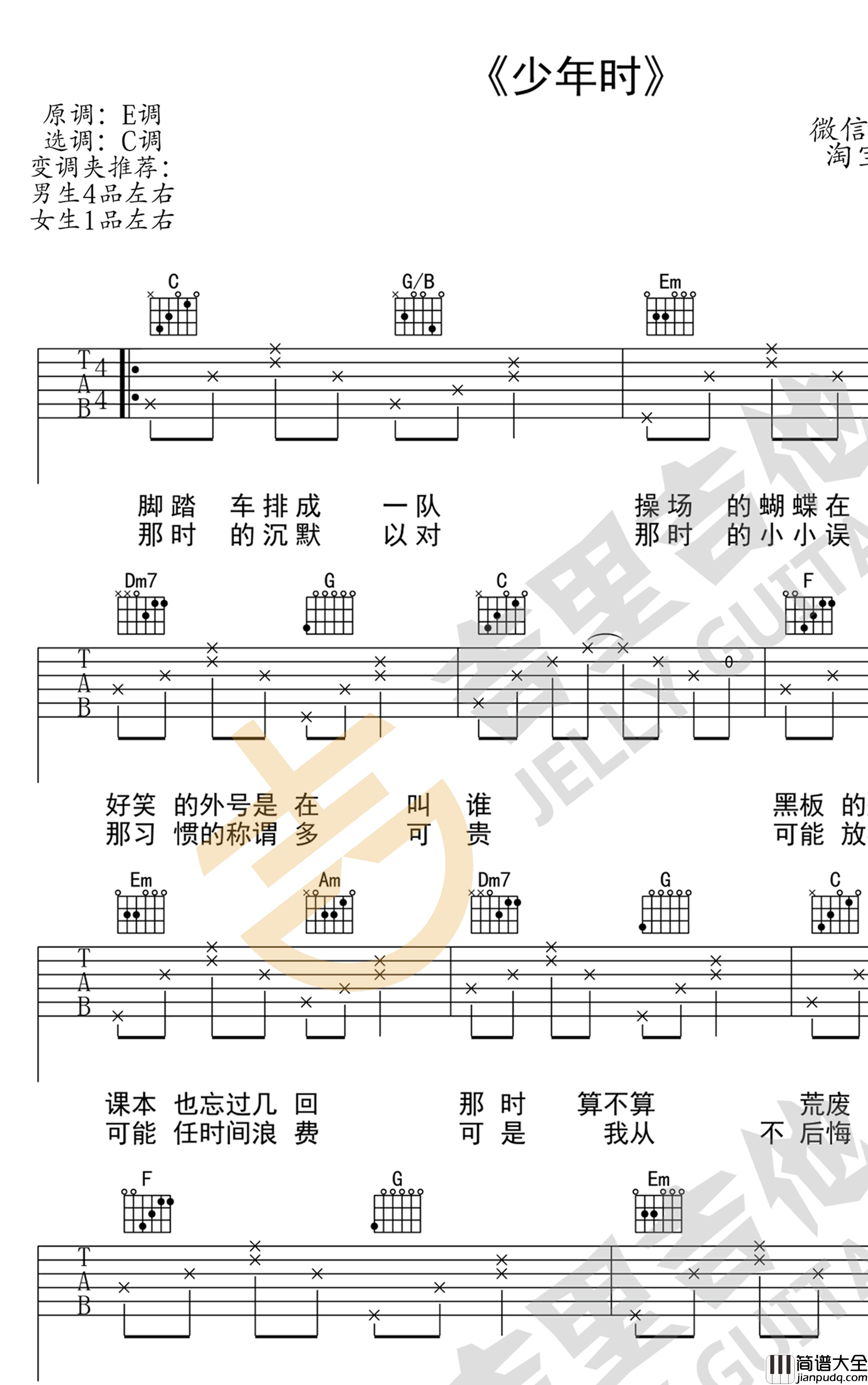 少年时吉他谱_侯明昊_人不彪悍枉少年_片尾曲_C调弹唱谱