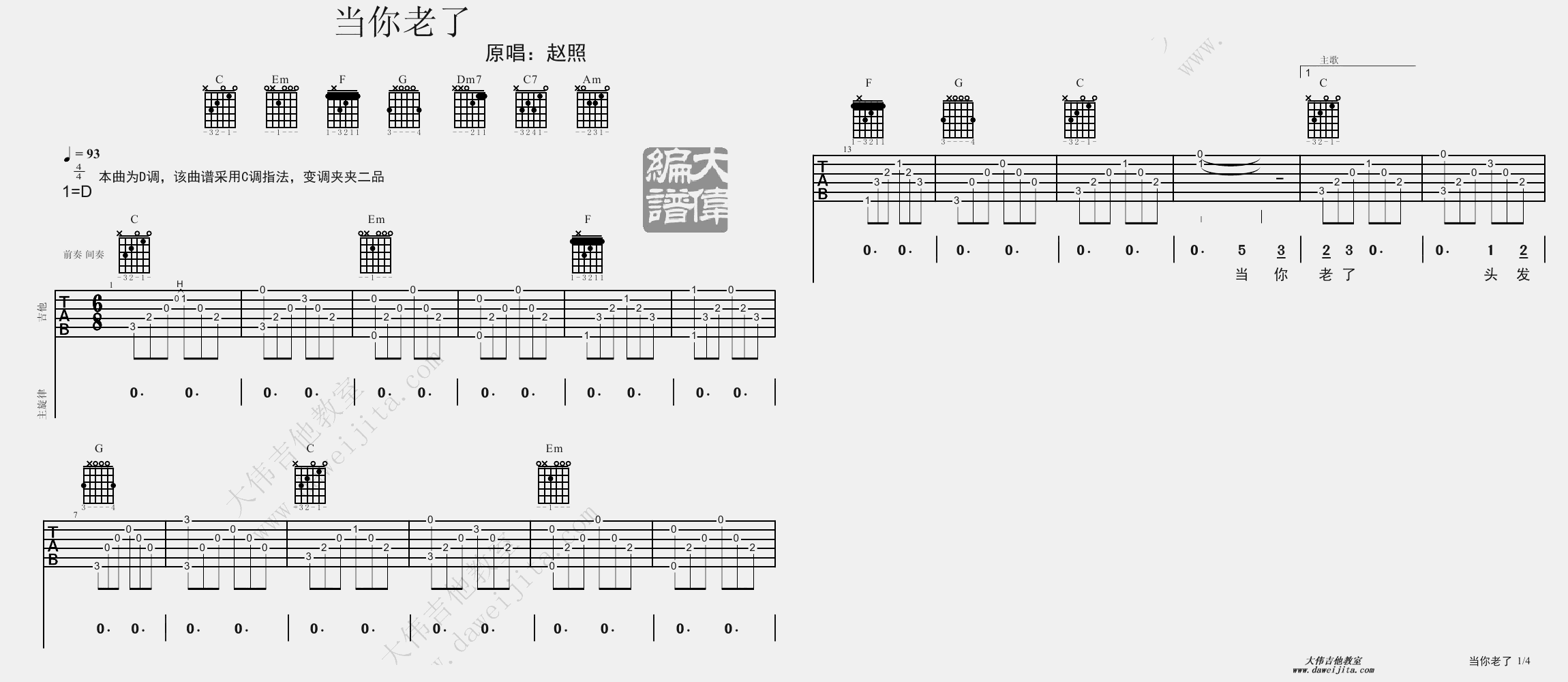 赵照_当你老了_吉他谱(D调)_Guitar_Music_Score