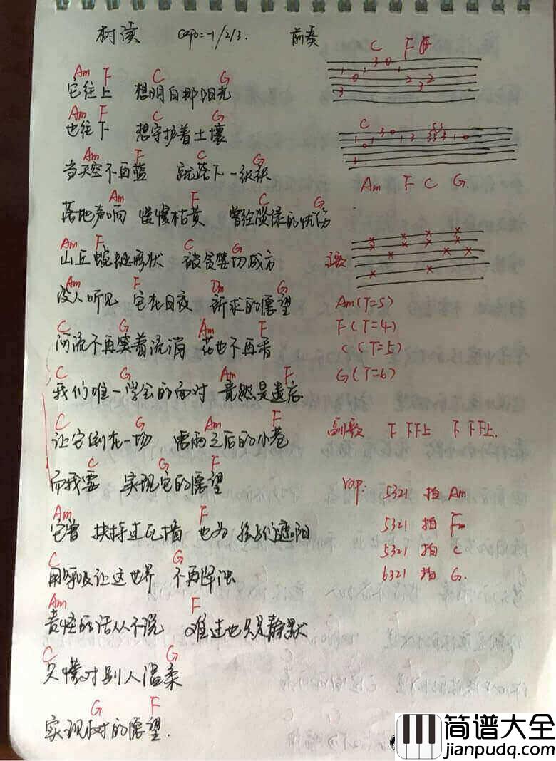 树读吉他谱_王俊凯(TFBOYS)_树读吉他弹唱谱