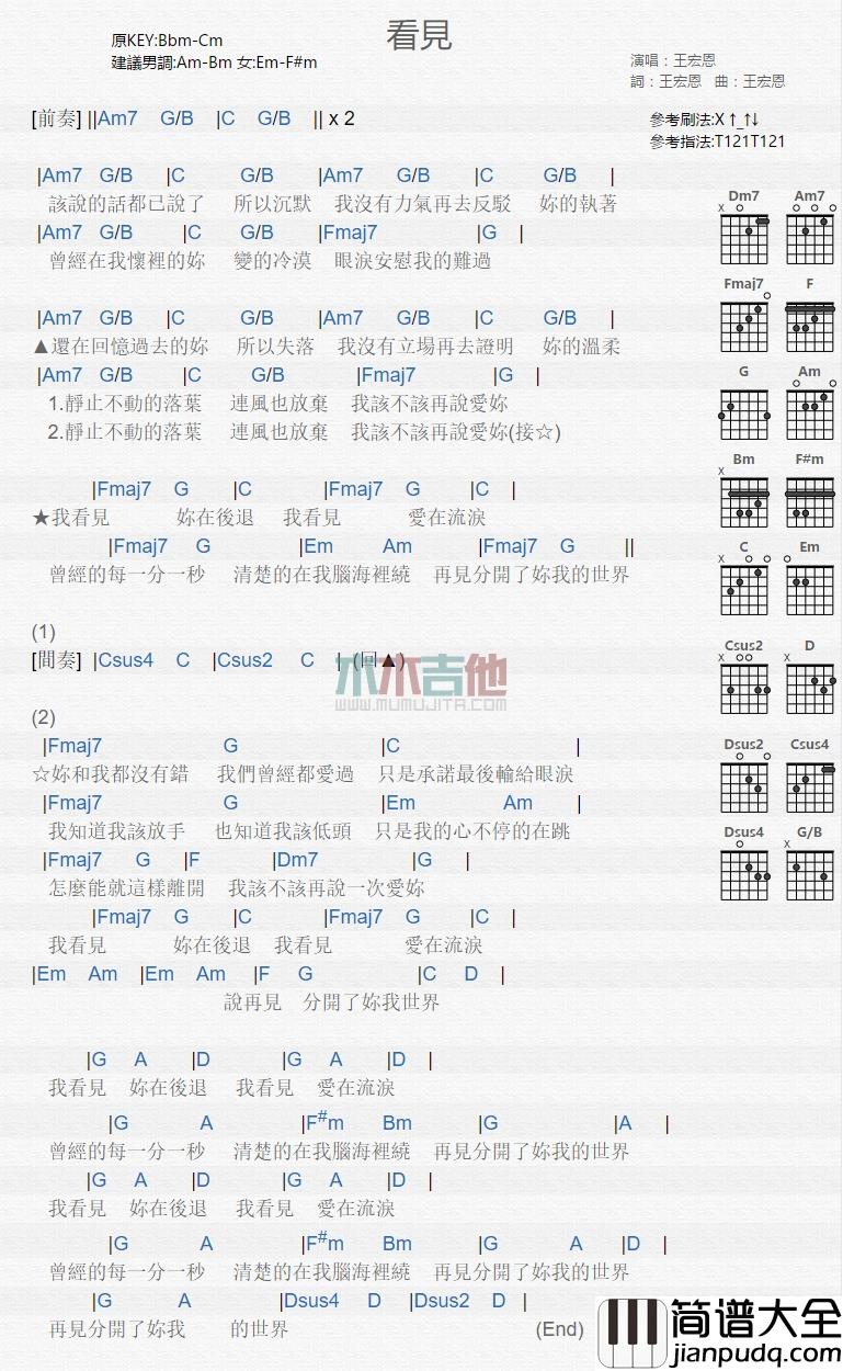 王宏恩_看见_吉他谱_Guitar_Music_Score