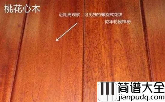 新手选购尤克里里,什么最重要?