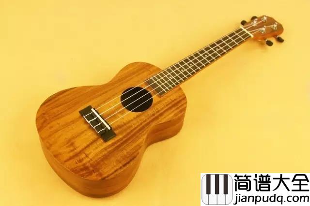 尤克里里(Ukulele):世界顶级尤克里里大师现场弹奏_配上这背景真的无可比拟