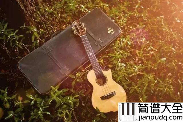 尤克里里(Ukulele):世界顶级尤克里里大师现场弹奏_配上这背景真的无可比拟