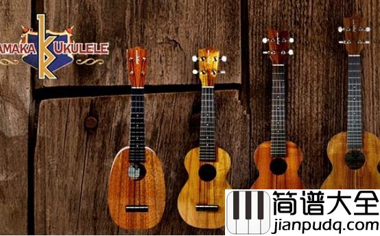 专家揭秘2018十大值得买的尤克里里品牌及其价格