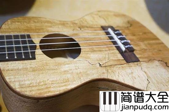 新手选购尤克里里,什么最重要?