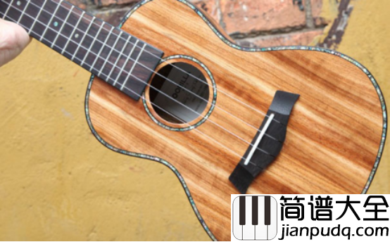 专家揭秘2018十大值得买的尤克里里品牌及其价格