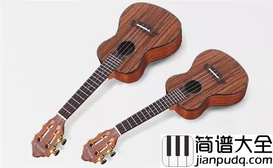 新手选购尤克里里,什么最重要?